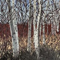Birch Stand