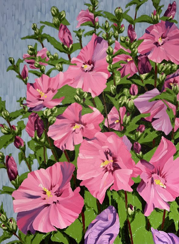 Rose of Sharon