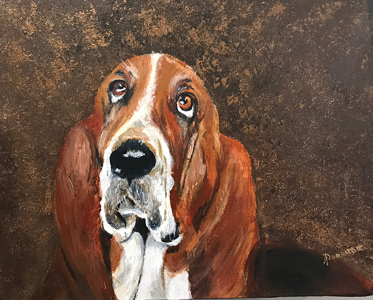 Basset