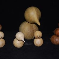 DSC_0027 – Copy 