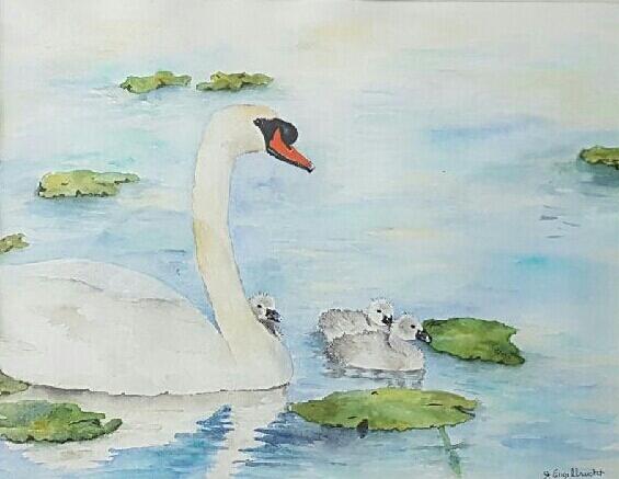 Swans