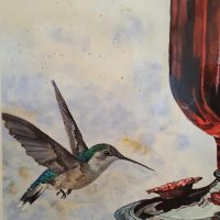 Humming Bird