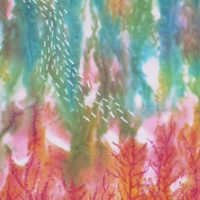 Coral Reef