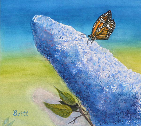 britt-butterfly