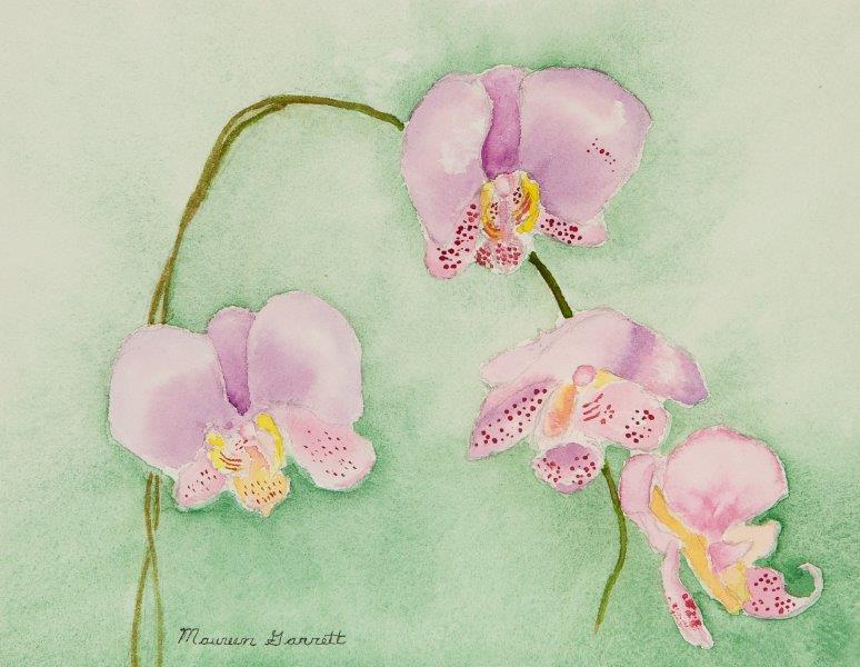 orchids_QS_6861_print