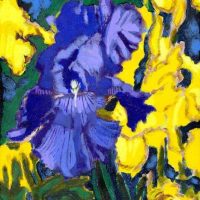 iris