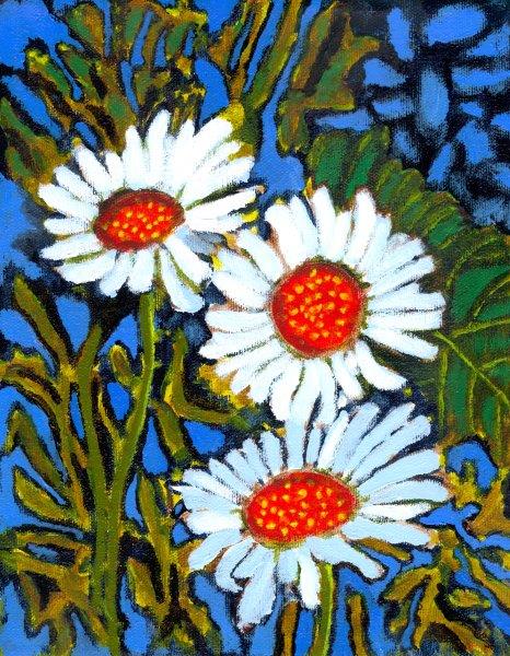 daisies