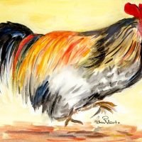 Rooster