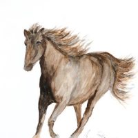 Horse