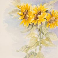 Patricia Roberts_QS_9404_web 