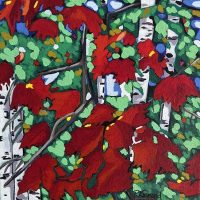 Red Maples