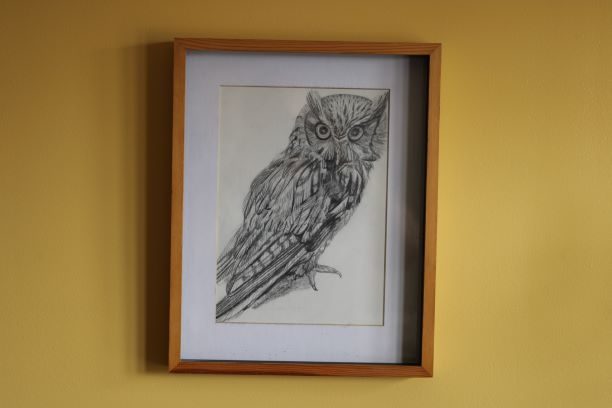 RB-Owl