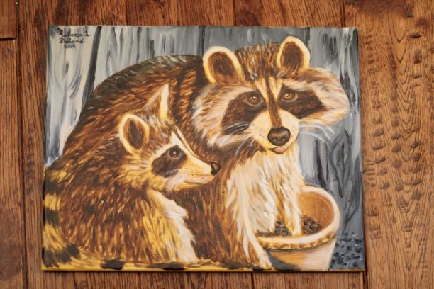 RB_racoon2