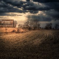 The Homestead