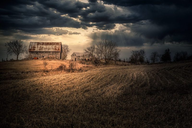 Homestead